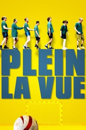 Plein la vue poster