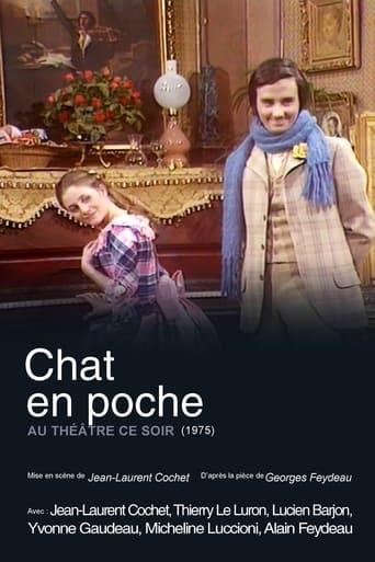 Chat en poche poster