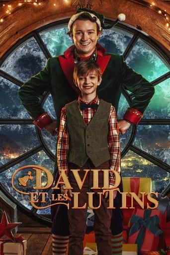 David et les lutins poster