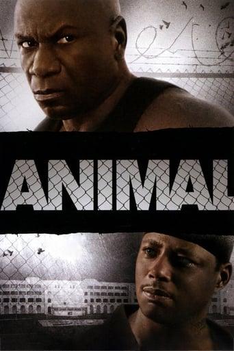 Animal poster