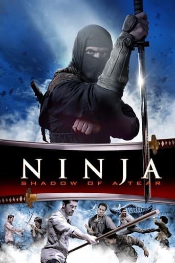 Ninja 2 : Shadow of a Tear poster