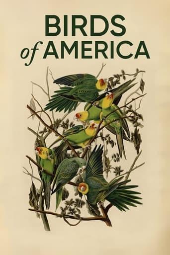 Birds of America poster