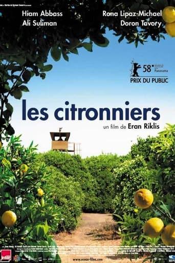 Les citronniers poster