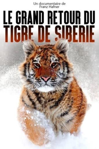 Le grand retour du tigre de Sibérie poster