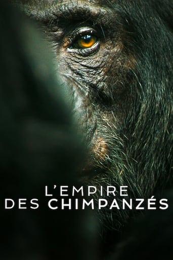 L'Empire des chimpanzés poster