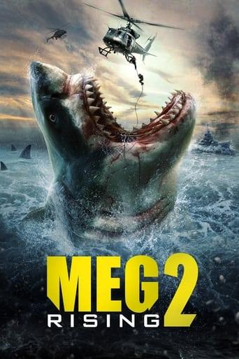 Meg Rising 2 poster