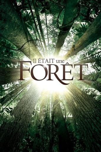 Il était une forêt poster