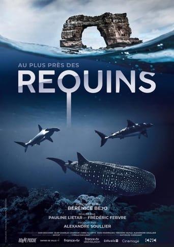 Au plus près des requins poster