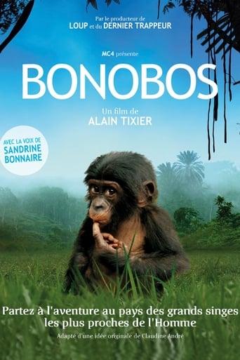 Bonobos poster