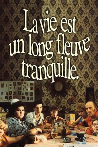 La vie est un long fleuve tranquille poster