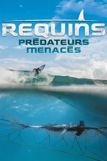 Requins, prédateurs menacés poster