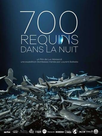 700 requins dans la nuit poster