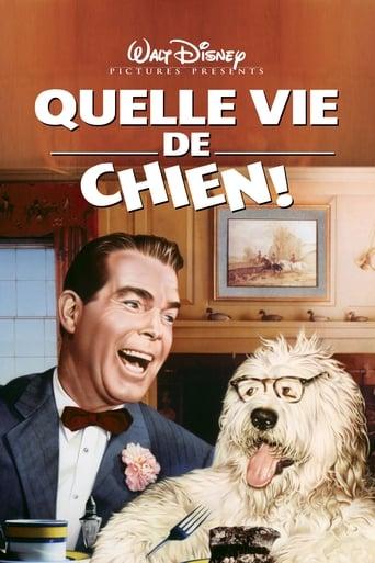 Quelle vie de chien ! poster