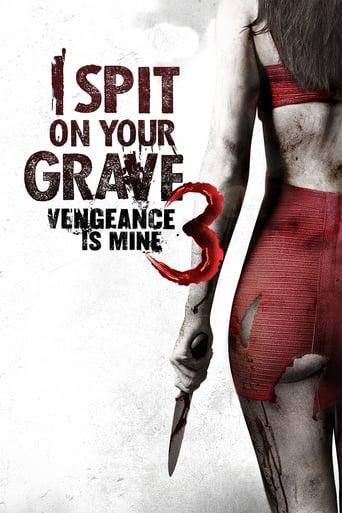 I Spit on Your Grave 3 : Vengeance is Mine poster