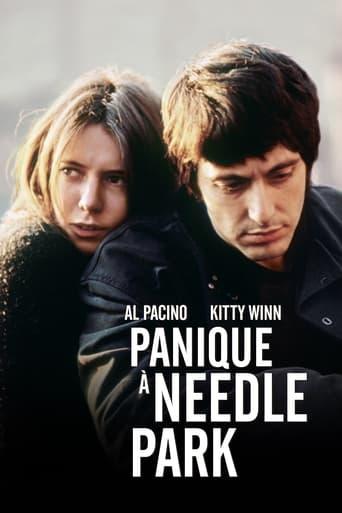 Panique à Needle Park poster