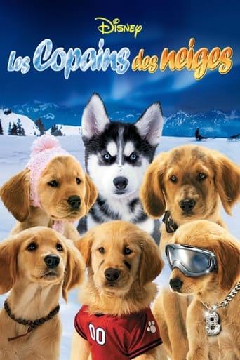 Les Copains des neiges poster