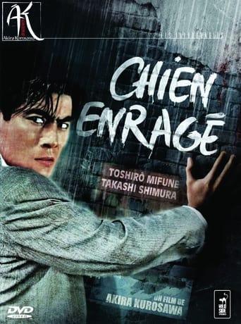 Chien enragé poster