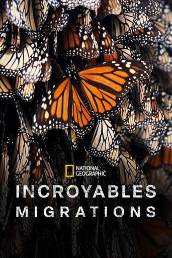 Incroyables migrations poster