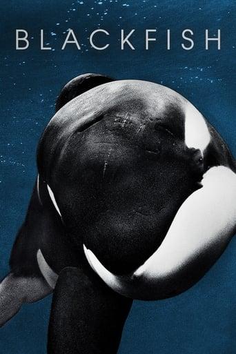 Blackfish poster