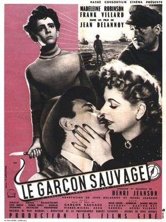 Le Garçon sauvage poster