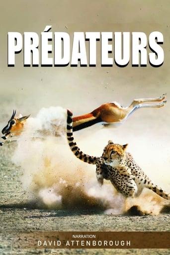 Prédateurs poster