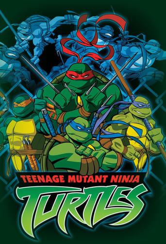 Les Tortues Ninja poster