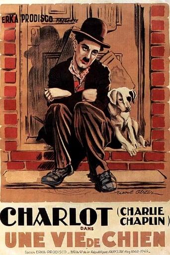 Une vie de chien poster