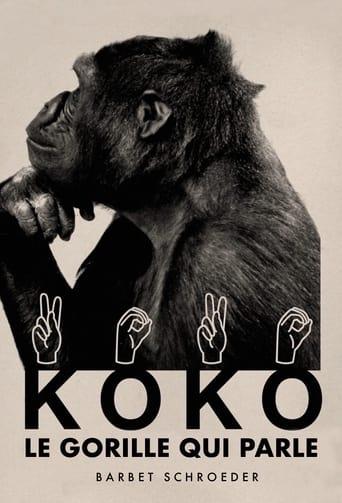 Koko, le gorille qui parle poster