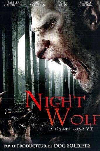 Night Wolf poster