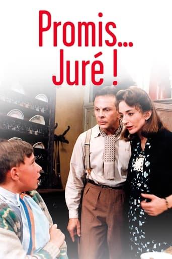 Promis... juré ! poster