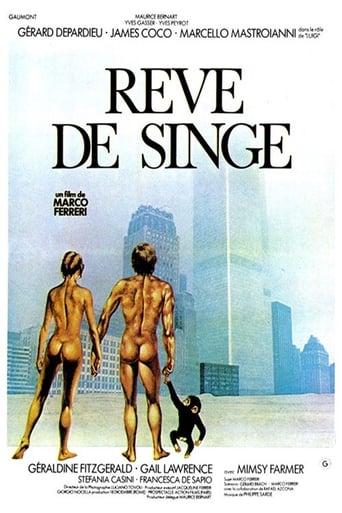 Rêve de singe poster