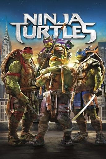 Ninja Turtles poster