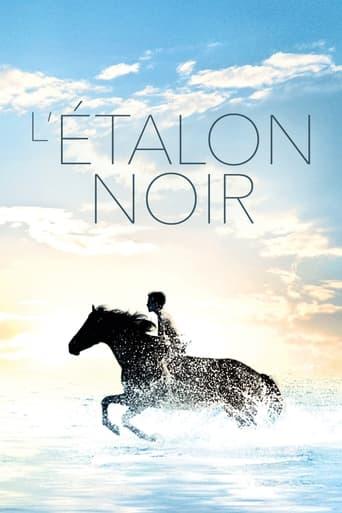 L'Étalon noir poster