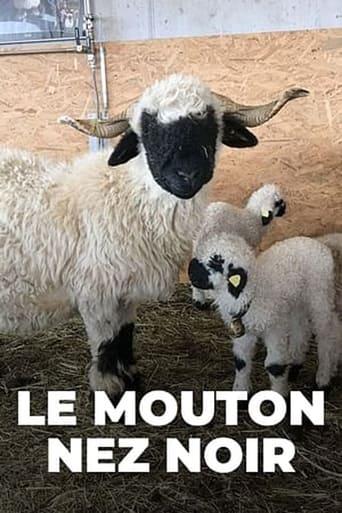 Moutons blancs, nez noirs - Les chouchous du Valais poster