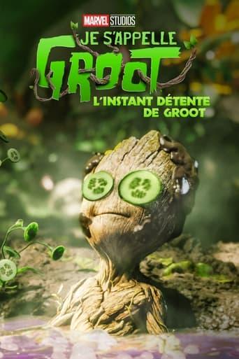 L'Instant détente de Groot poster