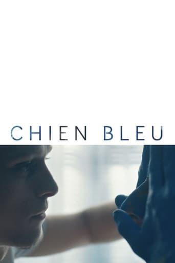 Chien bleu poster