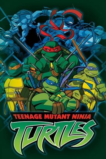 Les Tortues Ninja poster