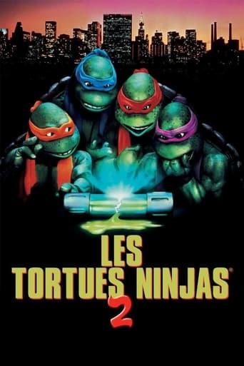 Les Tortues Ninja 2 : Les héros sont de retour poster