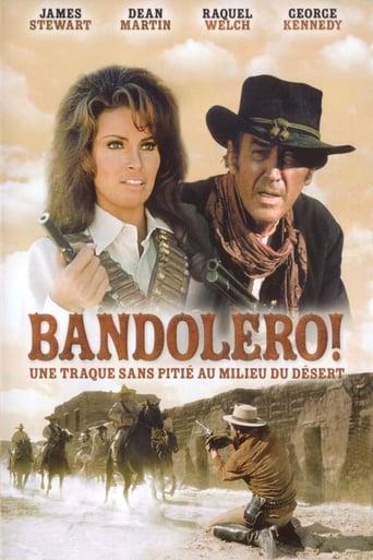 Bandolero! poster