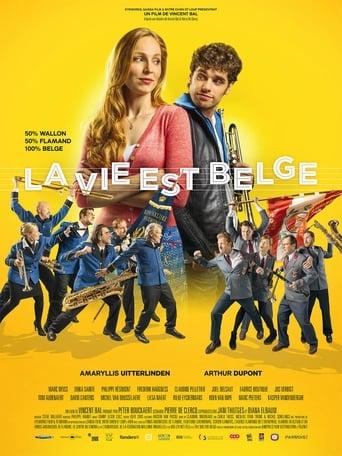 La vie est belge poster