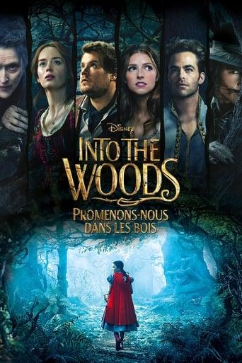 Into the Woods : Promenons-nous dans les bois poster