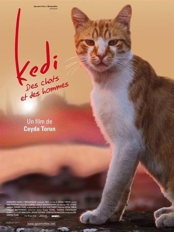 Kedi - Des chats et des hommes poster