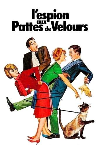 L'Espion aux pattes de velours poster