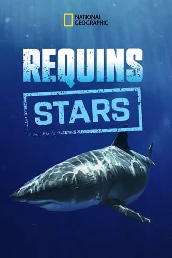 Requins stars poster