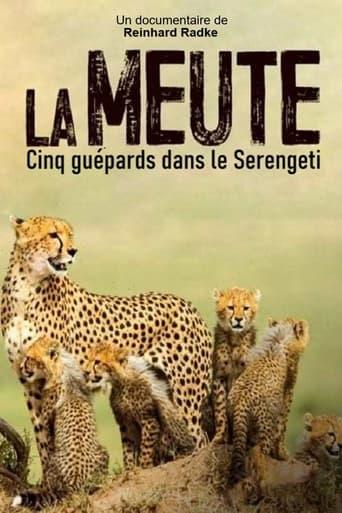 La Meute : Cinq guépards dans le Serengeti poster