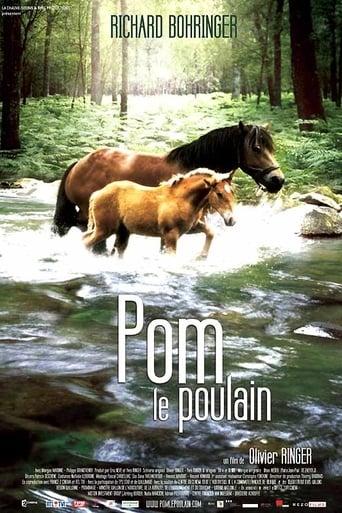 Pom, le poulain poster