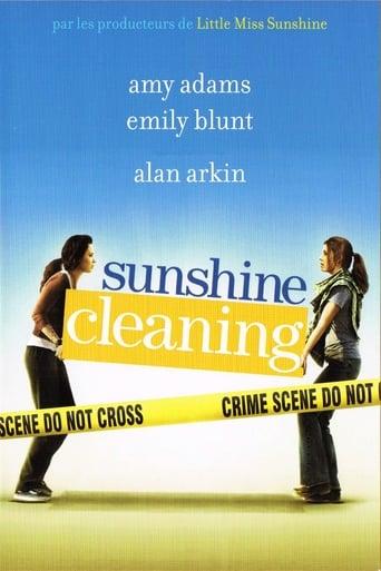 Sunshine Cleaning poster