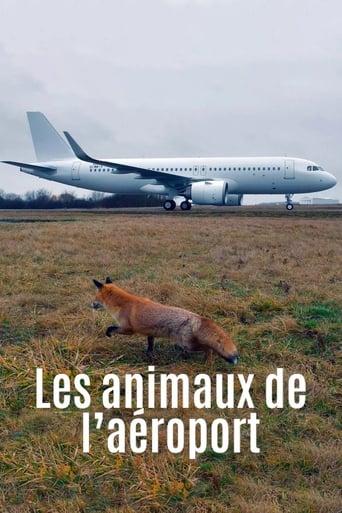 Les animaux de l’aéroport poster