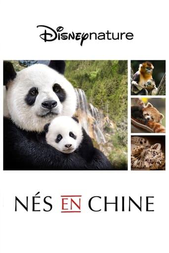 Nés en Chine poster