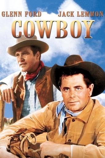 Cow-boy poster